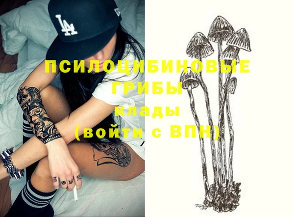 ГАЛЛЮЦИНОГЕННЫЕ ГРИБЫ Арсеньев