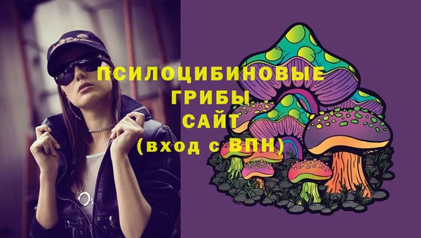 тгк Аркадак