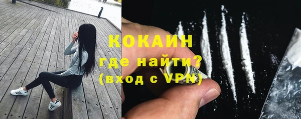 ГАЛЛЮЦИНОГЕННЫЕ ГРИБЫ Арсеньев