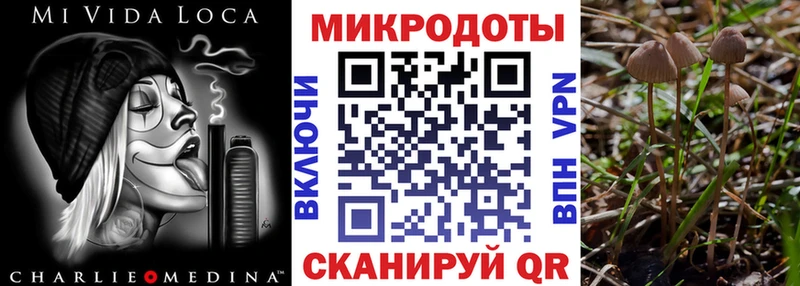 Псилоцибиновые грибы Magic Shrooms  продажа наркотиков  гидра рабочий сайт  Починок 